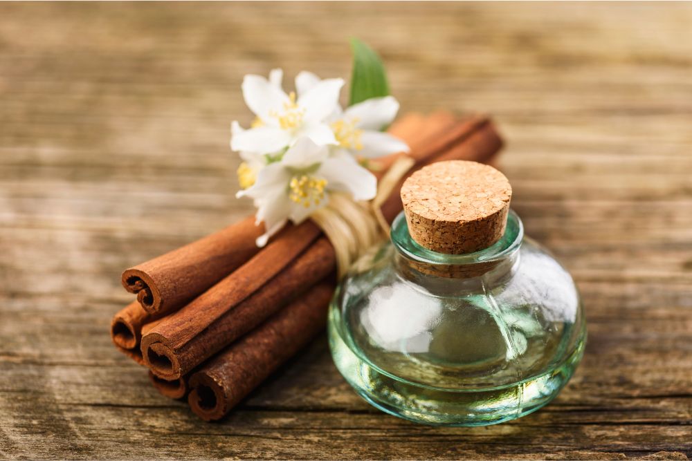Ręczny zbiór roślin aromatycznych do produkcji rzadkich olejków eterycznych