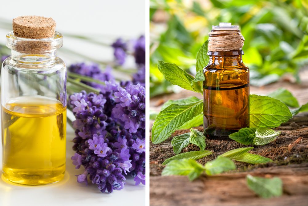 Dyfuzor aromatyczny z parą wodną wśród suszonych ziół i olejków eterycznych