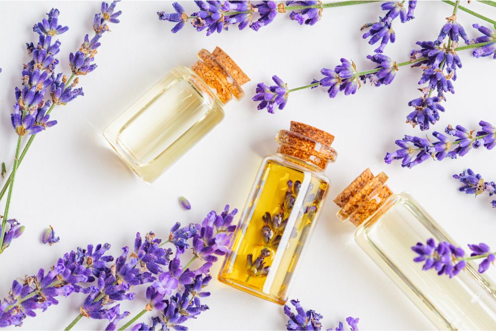Olejek eteryczny z lawendy w ciemnej buteleczce ze świeżą lawendą – naturalna aromaterapia